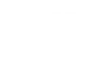 Logo STOER wit