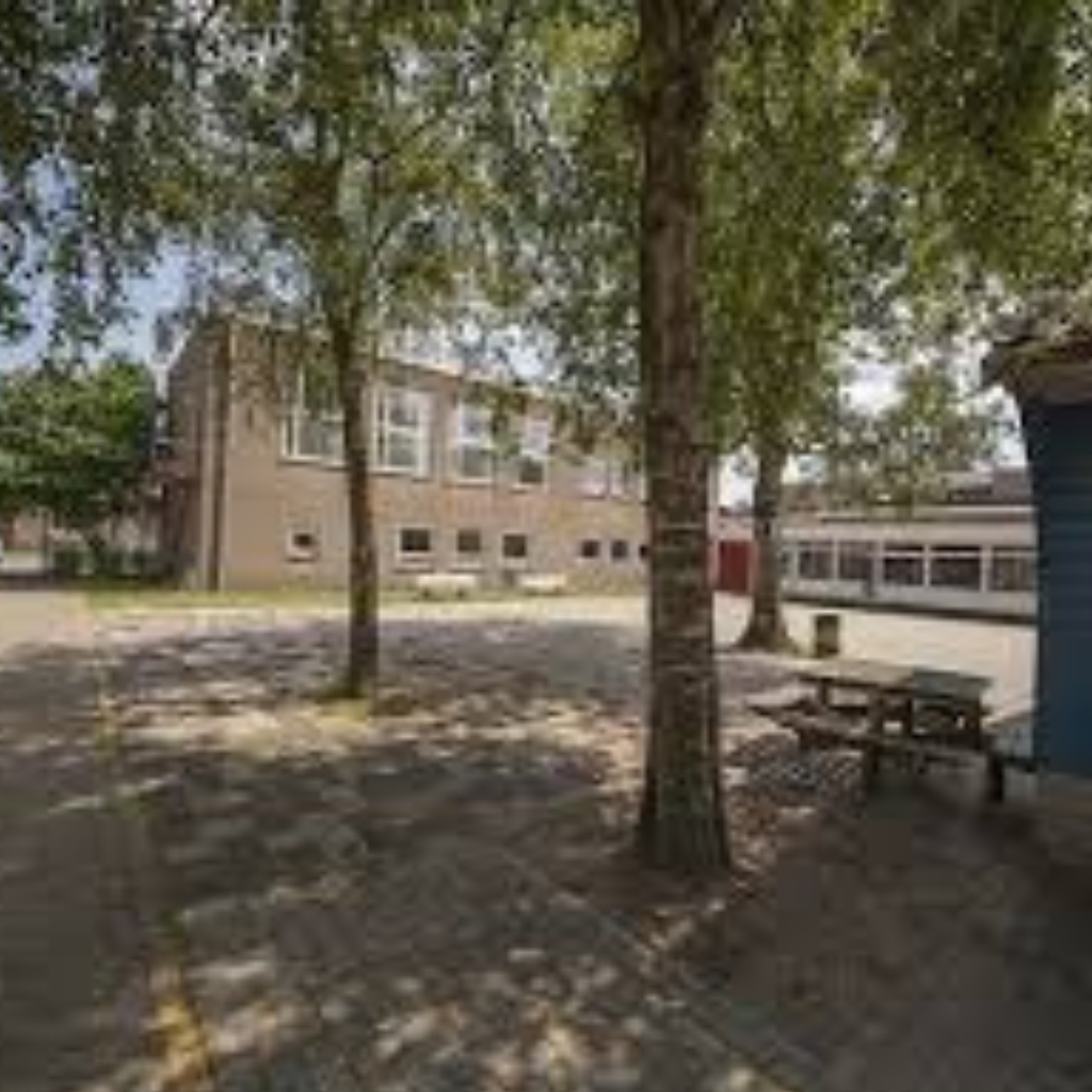 VSO De Ambelt Hardenberg